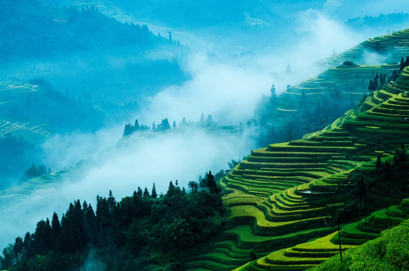 黔东南州保险行业隆重举行第一届 &ldquo;诚信保险服务明星&rdquo;表彰大会