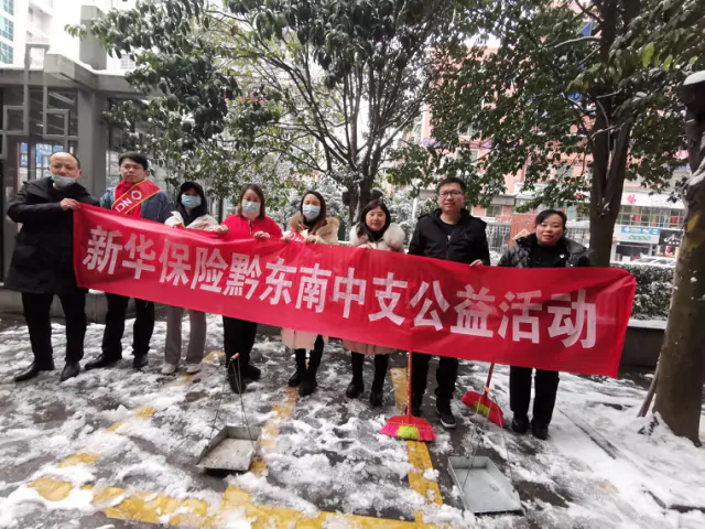 【新华保险】黔东南中支党支部组织开展义务扫雪公益活动