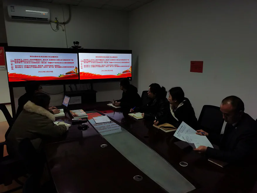 【新华保险】组织开展2月主题党日活动