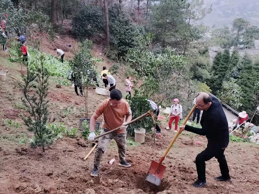 植树图片3.jpg