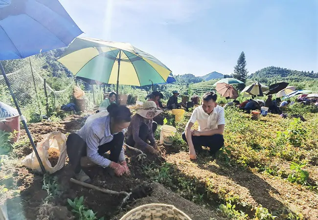 镇远农商银行：&ldquo;参&rdquo;财之梦    农信来圆