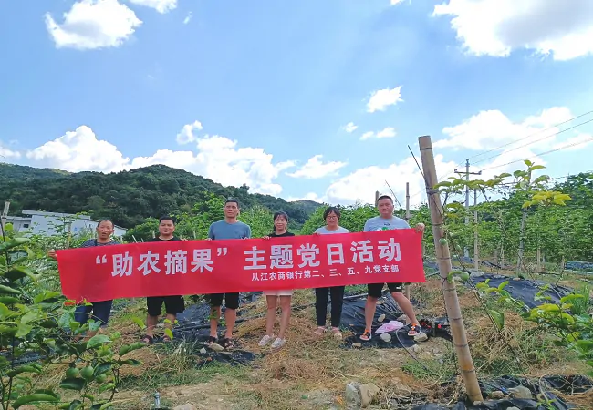 从江农商银行：党建引领赋能乡村振兴
