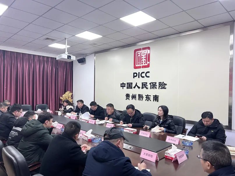 黔东南州保险行业协会召开2023年第一次财产险专业委员会工作会议