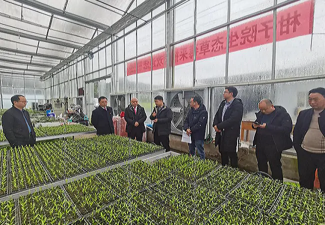 黔东南州&ldquo;三社联建&rdquo;工作调研组深入三穗开展调研