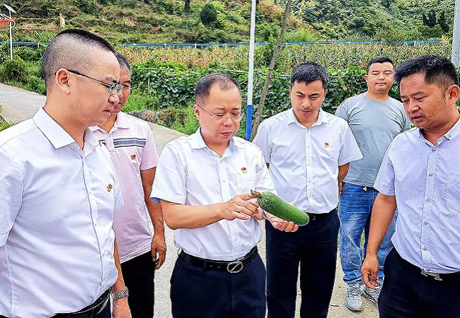 坚守定位  聚焦主业  为绘就锦绣黔东南新画卷贡献农信力量