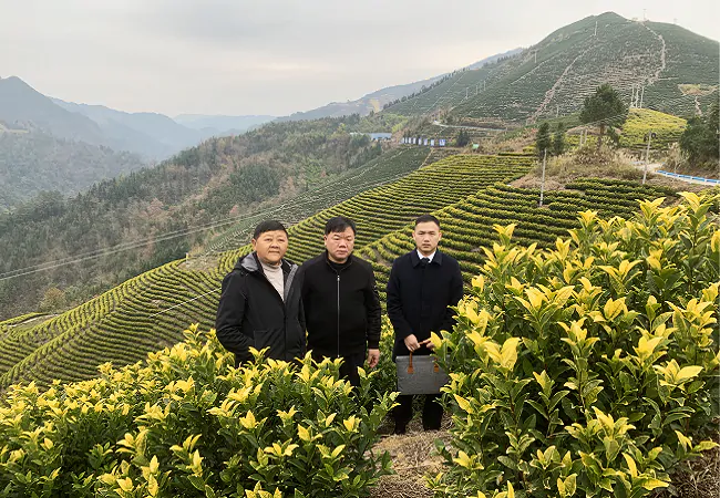 工行凯里分行：投放&ldquo;种植e贷&rdquo;助力乡村振兴