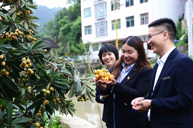 黔东南农信：做好&ldquo;土特产&rdquo;文章   绘就乡村振兴新图景