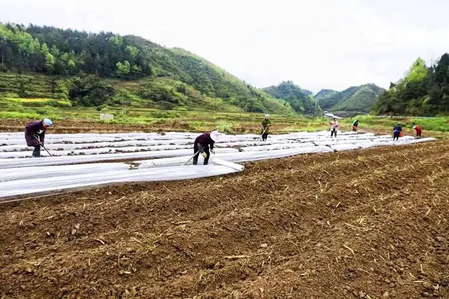 黔东南农信：多措并举助力地方经济高质量发展跑出&ldquo;加速度&rdquo;