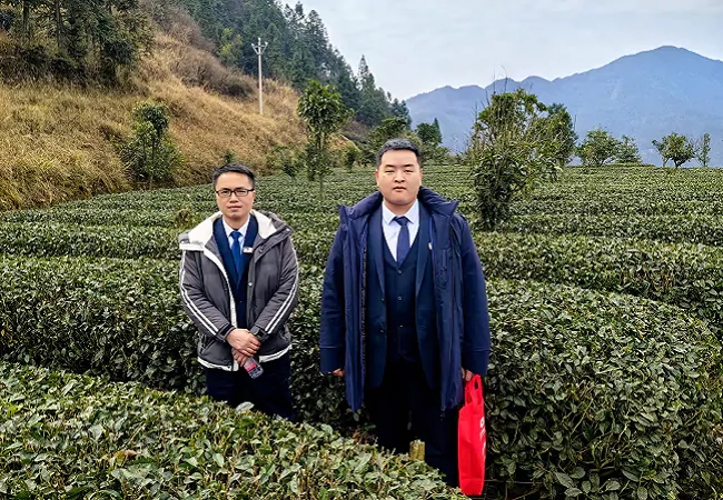 贵州银行黔东南分行：贵银春风&ldquo;及时雨&rdquo; 助力茶企好营收