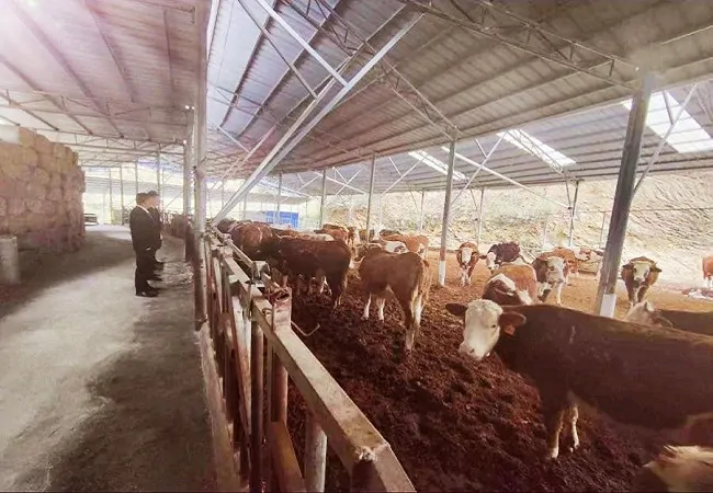 天柱农商银行：凝聚金融新动能   &ldquo;贷&rdquo;动乡村新发展