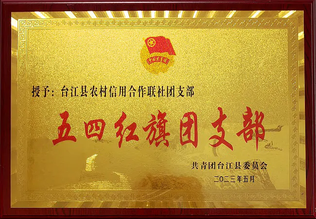 (图为:台江农信联社团支部获得的荣誉奖牌).png