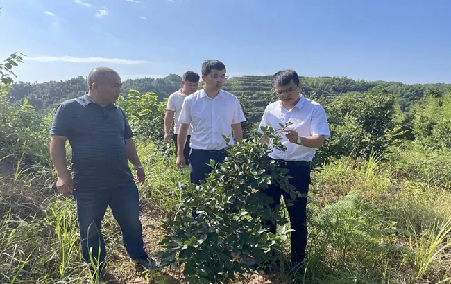 工商银行凯里分行：工银&ldquo;种植e贷&rdquo; 为黔东南州油茶产业发展又添&ldquo;新动力&rdquo;