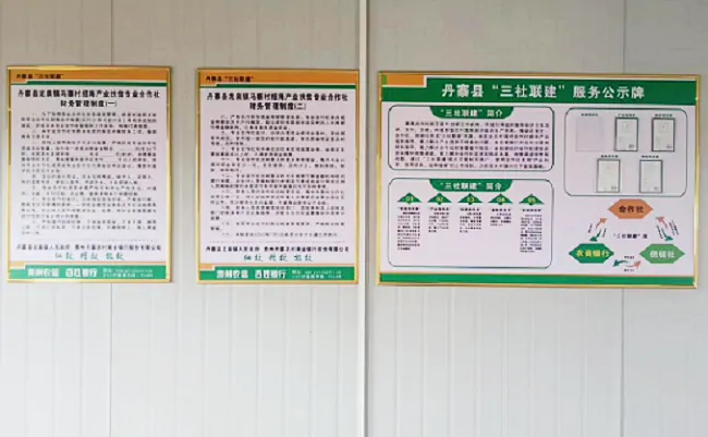 (图为:龙泉镇马寨村绍海产业专业合作社“三社联建”相关制度上墙).png