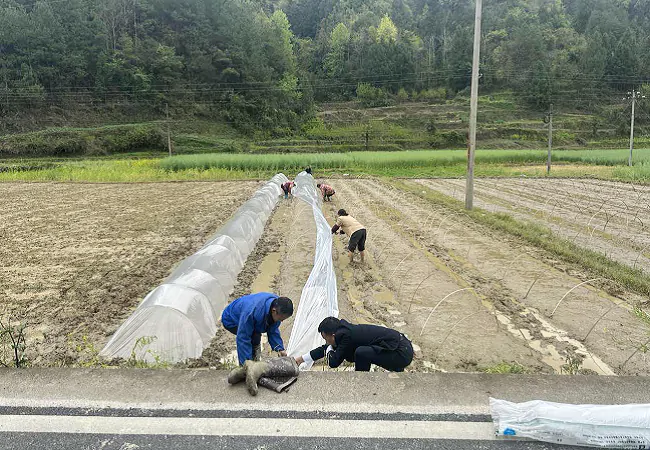 岑巩农信联社：保驾春耕，引金融&ldquo;活水&rdquo;润泽田野