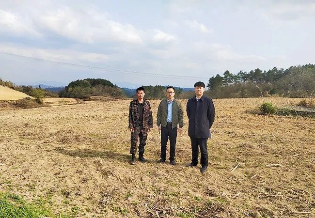 建行金融&ldquo;活水&rdquo;   润泽乡村振兴