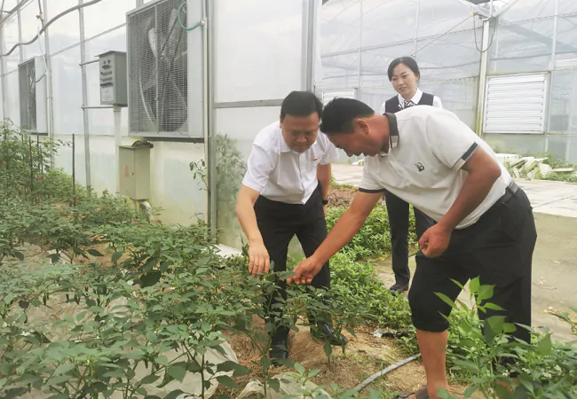 (图为:三穗农商银行党委书记吴永泽入园调研).png