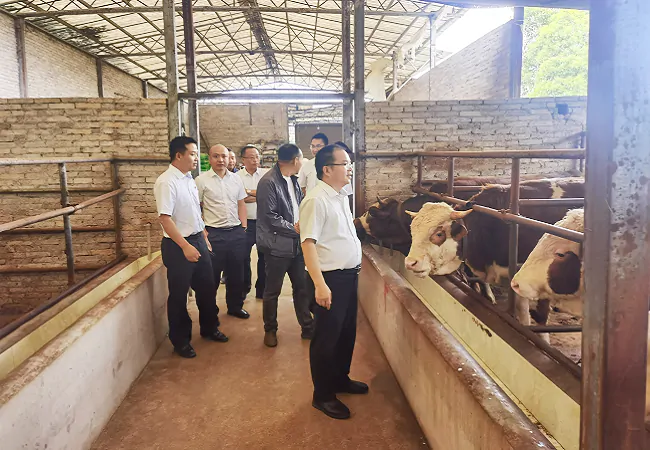 (图为:省联社黔东南审计中心党委委员、副主任唐永贤(右一)到养殖基地调研).png