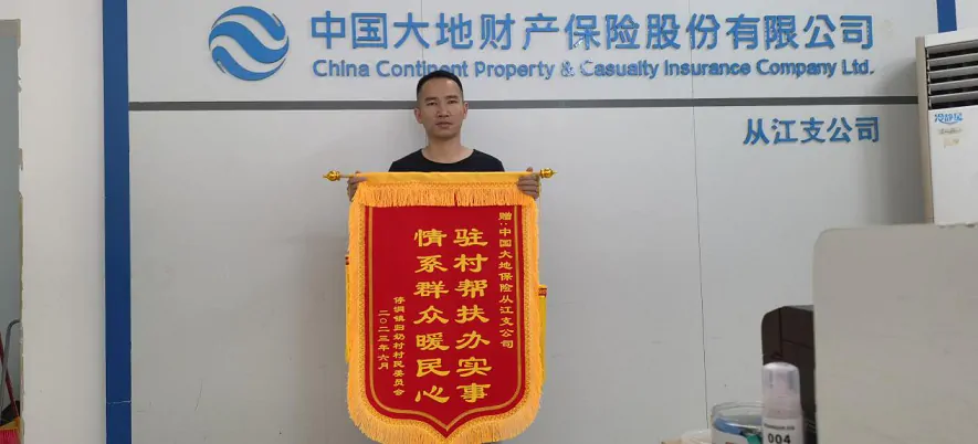 中国大地保险黔东南中心支公司党支部 开展&ldquo;我为群众办实事&rdquo; 实践活动成效