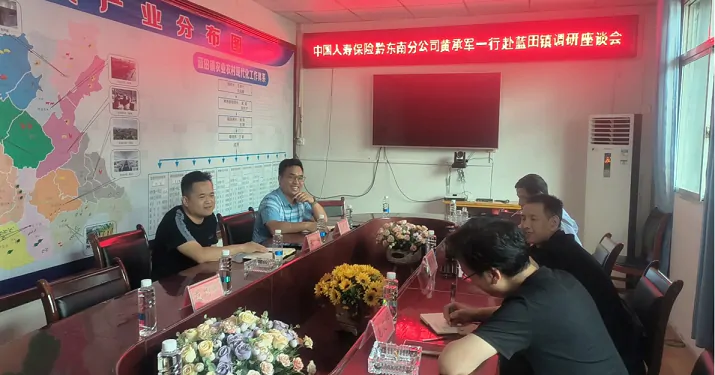 中国人寿黔东南分公司黄承军同志到天柱县蓝田镇公闪村开展乡村振兴调研工作