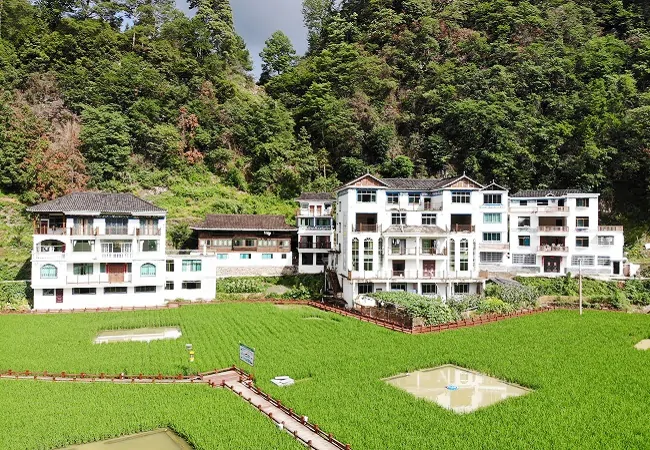 &ldquo;村BA&rdquo;盛宴上的农信社故事（篇章二）