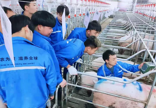 中国银保监会发布《关于2023年加力提升小微企业金融服务质量的通知》