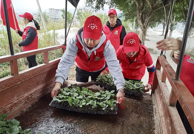 榕江农信联社：传承雷锋精神 助力春耕备耕