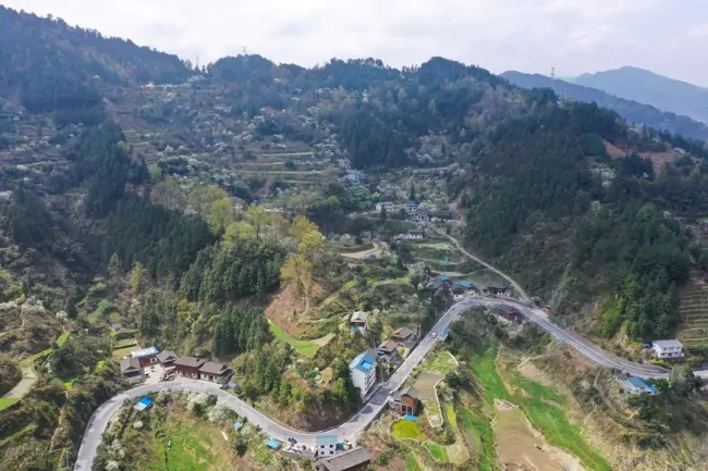 黔东南农信：做好&ldquo;土特产&rdquo;文章 绘就乡村振兴新图景