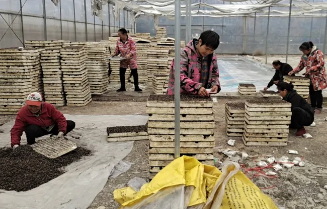 岑巩农信联社：移动办贷助春耕 不误农时不负春