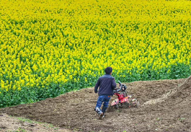 黔东南农信：金融春雨润山乡 田间地头春耕忙