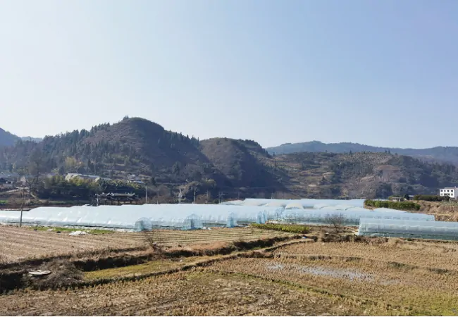 岑巩农信联社：&ldquo;乡村振兴贷&rdquo; &ldquo;贷&rdquo;来&ldquo;莓&rdquo;好生活