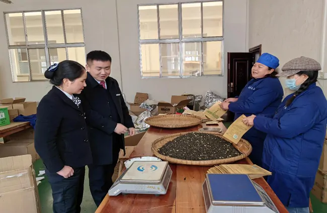 (图为:雷山农信联社客户经理深入茶企了解茶叶生产情况).png