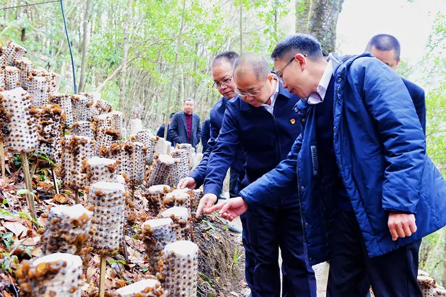 黔东南农信：多措并举助力地方经济高质量发展跑出&ldquo;加速度&rdquo;