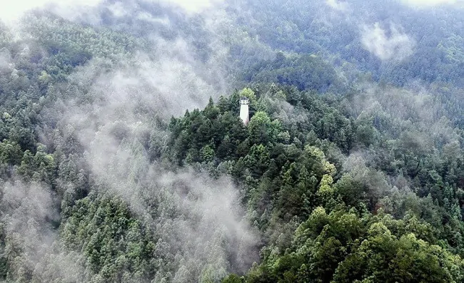 农发行黔东南州分行：绿色金融助&ldquo;绿&rdquo;成&ldquo;金&rdquo; 厚实生态之州&ldquo;绿色家底&rdquo;