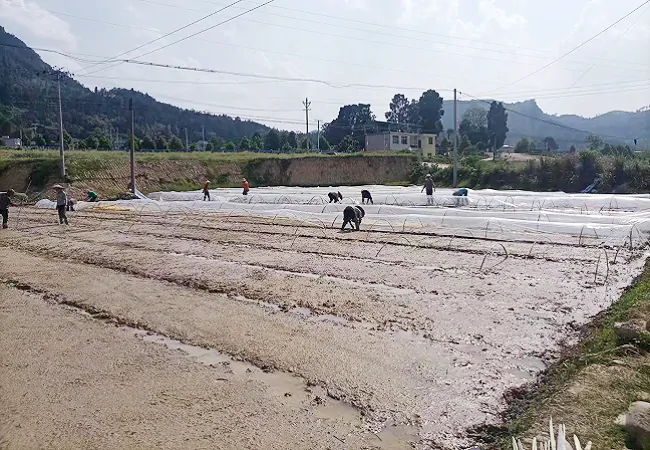 岑巩农信联社：撒播金融&ldquo;及时雨&rdquo; 助农发展不等&ldquo;贷&rdquo;