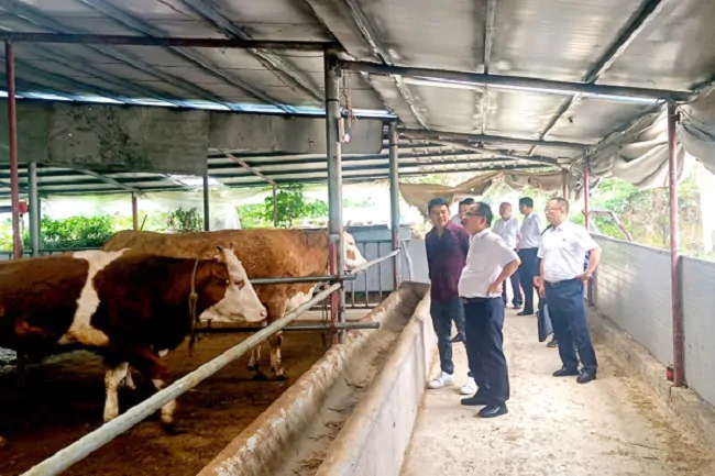 凯里农商银行：助推农村经济发展 实现农民增收致富