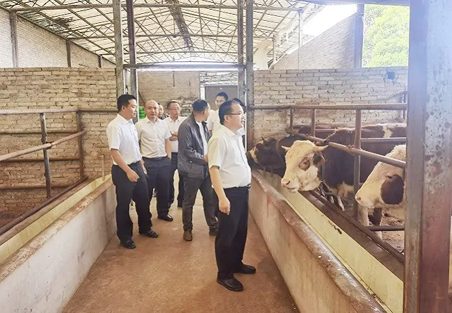（图为：省联社黔东南审计中心党委委员、副主任唐永贤深入种养殖企业调研）11.jpg