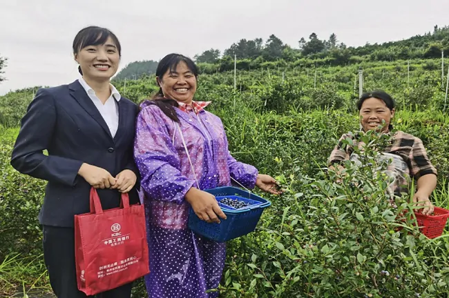 (图为:工商银行凯里分行到麻江县某蓝莓种植基地开展实地调研)2.png