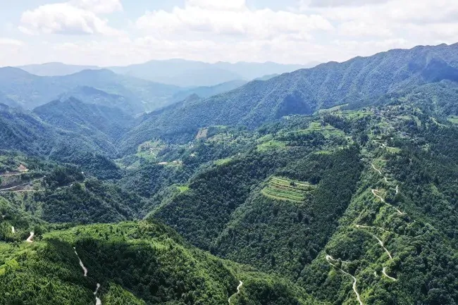 农业银行剑河县支行推出林权抵押贷款助力乡村振兴