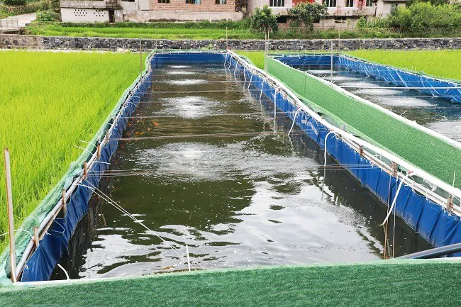 邮储银行黔东南州分行：&ldquo;五大金融&rdquo;赋能乡村振兴