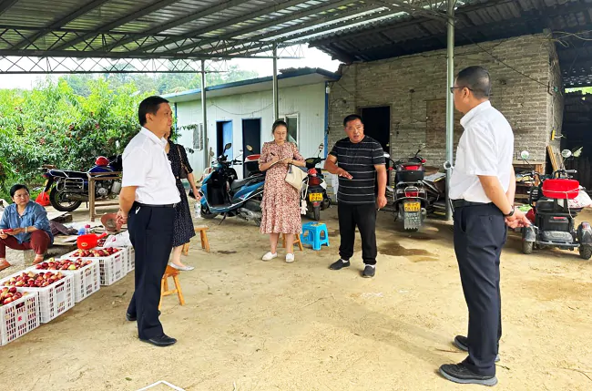 （图为：县联社党委书记、理事长朱骏，党委副书记、主任黄进堂走访调研水果种植合作社）.png