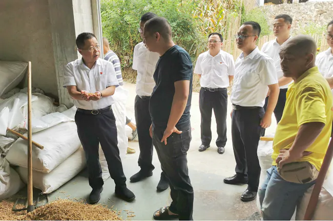 施秉农信联社：激活金融&ldquo;引擎&rdquo;探&ldquo;一示范两样板&rdquo;新路