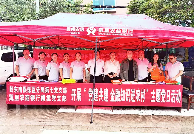 传播金融正能量 筑牢安全防火墙 &mdash;&mdash;黔东南银保监分局第七党支部联合凯里农商银行凯棠党支部开展主题党日活动
