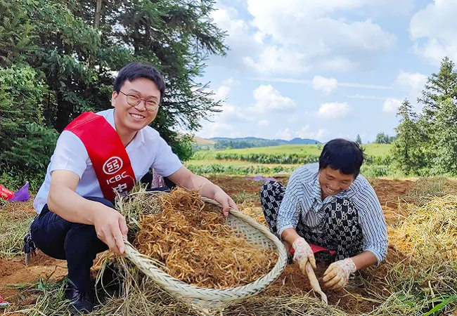 工商银行凯里分行： 在&ldquo;丰&rdquo;味十足的振兴大道上越走越&ldquo;参&rdquo;