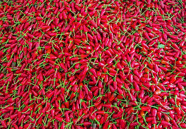 (图为:红彤彤的辣椒).jpg