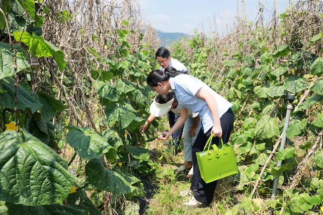 插图2：图为邮储银行榕江县支行客户经理在某蔬果种植基地做贷款调查（二）.JPG