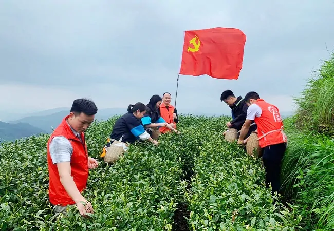 邮储银行黔东南州分行：深耕普惠金融   建设和美乡村