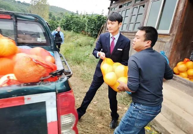 (图为:建设银行天柱支行青年员工志愿服务帮助农户装运丰收的蜜柚).jpg