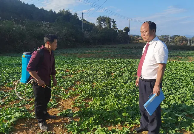 麻江农商银行：金融力量编制&ldquo;菜篮子&rdquo; 助农户走上致富路