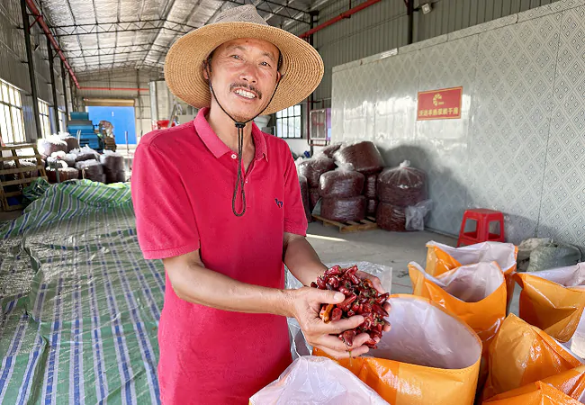 锦屏农信联社：助力农户奏响丰收&ldquo;椒&rdquo;响曲