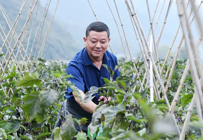 采摘现场 (4)1.JPG